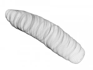 Cutworm 3D Model
