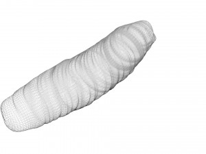 Cutworm 3D मॉडल