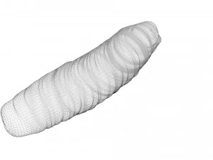 Cutworm 3D Model