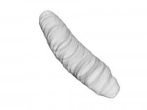 Cutworm 3D मॉडल
