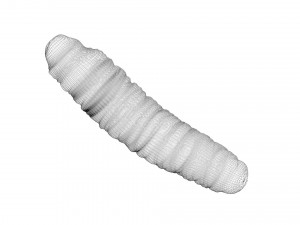 Cutworm 3D मॉडल
