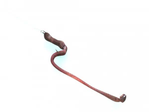Hookworm 3D Model