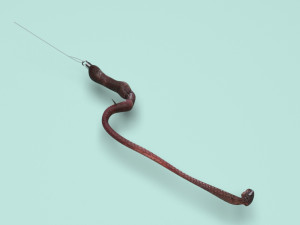 Hookworm 3D Модель