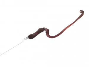 Hookworm 3D Model
