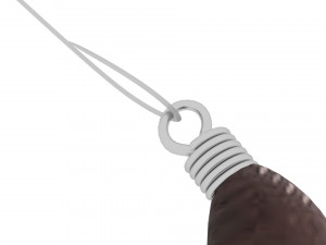 Hookworm 3D Модель