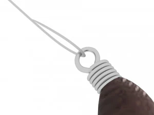 Hookworm 3D Model