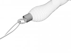 Hookworm 3D Model