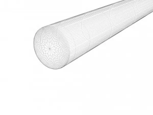 Hookworm 3D Model