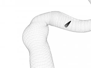 Hookworm 3D Model