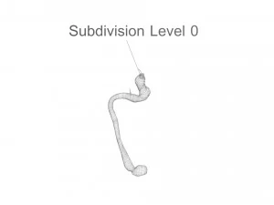 Hookworm 3D Model