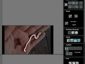 Hookworm 3D Model