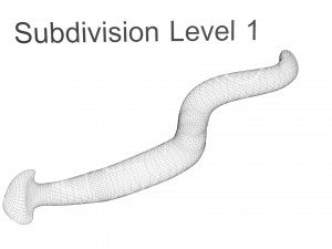 Hammerhead Worm 3D 模型