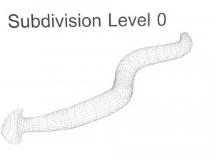Hammerhead Worm 3D 模型