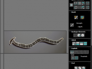 Hammerhead Worm 3D 模型