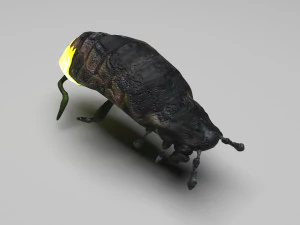 Glow Worm 3D Model