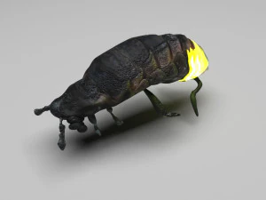 Glow Worm 3D Model
