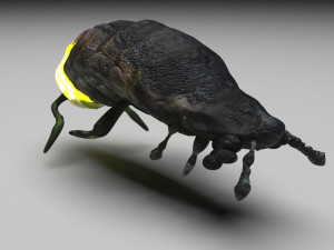 Glow Worm 3D-Modell