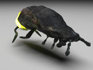 Glow Worm 3D Model