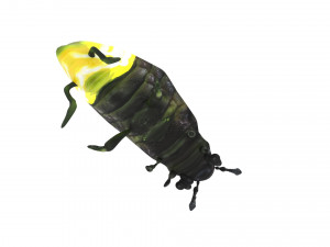 Glow Worm 3D-Modell