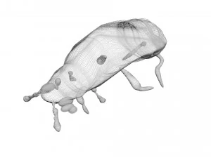 Glow Worm 3D Model