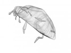 Glow Worm 3D Model