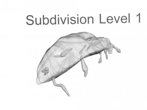 Glow Worm 3D Model