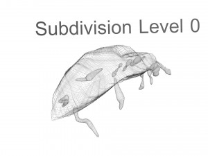 Glow Worm 3D-Modell
