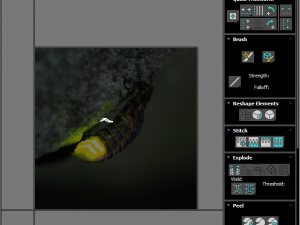 Glow Worm 3D-Modell