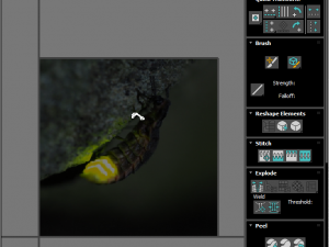 Glow Worm 3D-Modell
