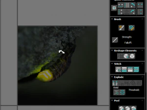 Glow Worm 3D Model