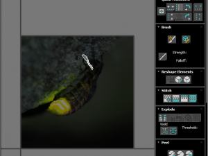 Glow Worm 3D-Modell
