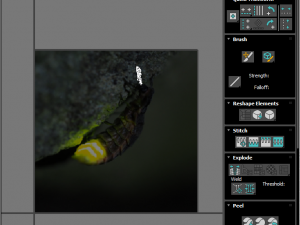 Glow Worm 3D-Modell