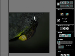 Glow Worm 3D Model