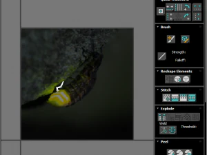 Glow Worm 3D Model