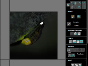 Glow Worm 3D Model