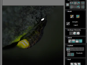 Glow Worm 3D Model
