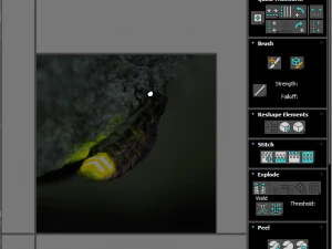 Glow Worm 3D Model