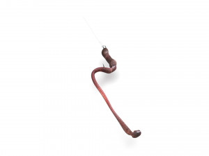 Worms Set Model 3D