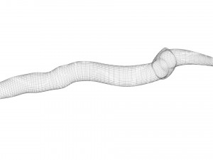 Worms Set Model 3D