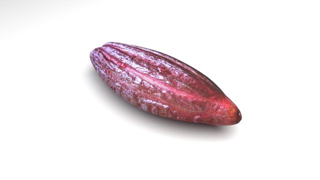 Brown Cocoa Fruit 3D Model .c4d .max .obj .3ds .fbx .stl .blend 