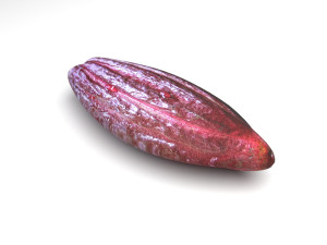 Brown Cocoa Fruit 3D 模型