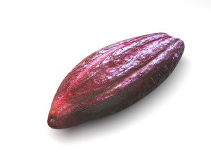 Brown Cocoa Fruit 3D Model