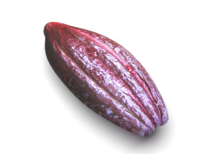 Brown Cocoa Fruit 3D Model