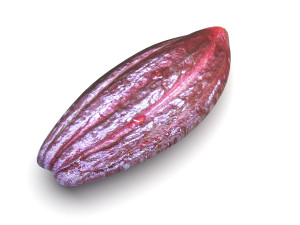 Brown Cocoa Fruit 3D Model
