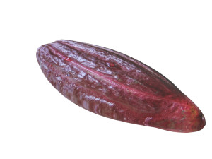 Brown Cocoa Fruit 3D Model