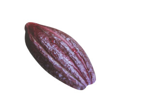 Brown Cocoa Fruit 3D Model