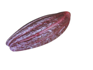 Brown Cocoa Fruit 3D Model