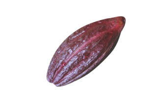 Brown Cocoa Fruit 3D Model