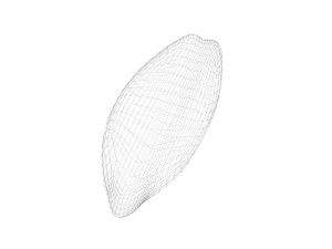 Brown Cocoa Fruit 3D Model