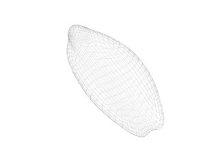 Brown Cocoa Fruit 3D Model